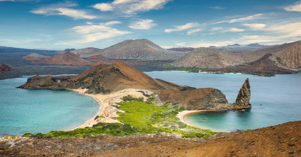 Wildlife Encounters Galápagos Islands