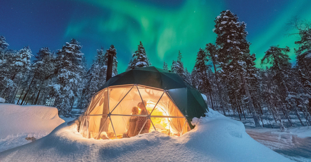 Northern Lights and Arctic Wildlife in Norway Wildlife Encounters